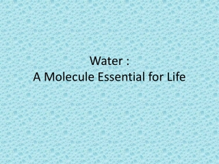 Water : A Molecule Essential for Life