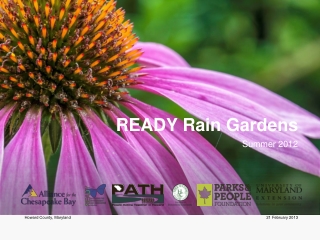 READY Rain Gardens