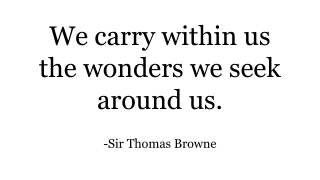 We carry within us the wonders we seek around us.