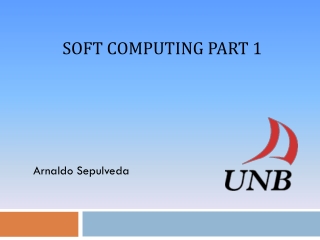 Soft computing Part 1