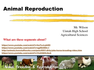 Animal Reproduction