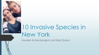 10 Invasive Species in New York