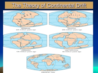 The Theory of Continental Drift