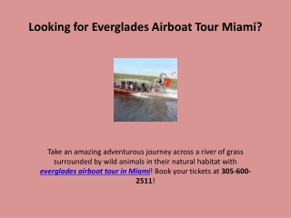 Looking for Everglades Airboat Tour in Miami?