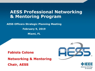 AESS Professional Networking &amp; Mentoring Program