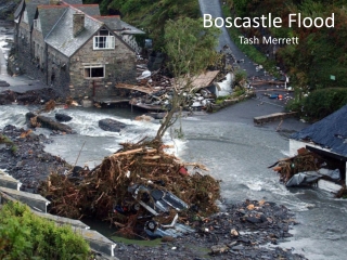 Boscastle Flood Tash Merrett