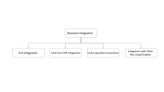 Skynamo Integration