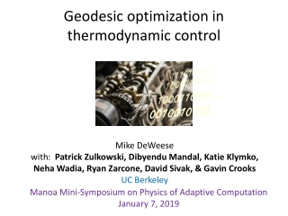 Geodesic optimization in thermodynamic control