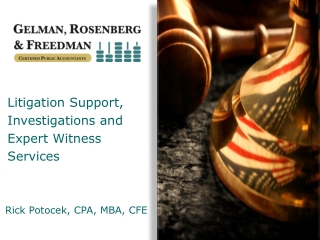 Litigation Support, Investigations and Expert Witness Services