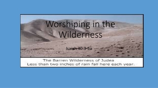 Worshiping in the Wilderness