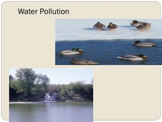 Water Pollution