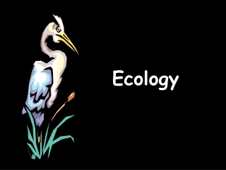 Ecology