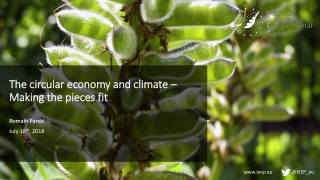 The circular economy and climate – Making the pieces fit