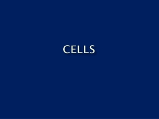 Cells