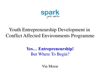 Youth Entrepreneurship Development in Conflict Affected Environments Programme