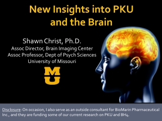 New Insights into PKU and the Brain