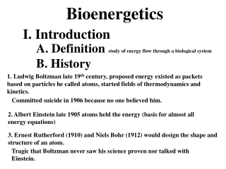 Bioenergetics