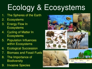 Ecology &amp; Ecosystems