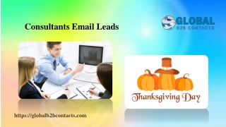 Consultants Email Leads