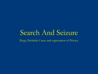 Search And Seizure