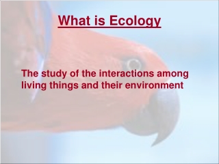 What is Ecology