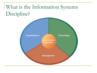 What is the Information Systems Discipline?