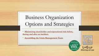 Business Organization Options and Strategies