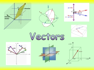 Vectors