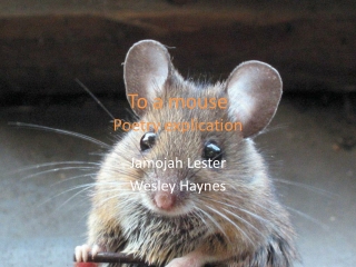 To a mouse Poetry explication