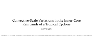 Convective-Scale Variations in the Inner-Core Rainbands of a Tropical Cyclone