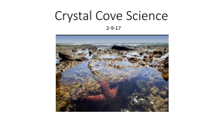 Crystal Cove Science