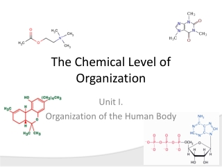 The Chemical Level of Organization