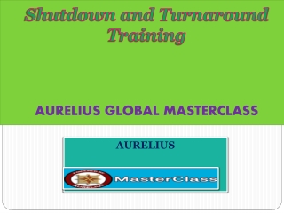Shutdown and Turnaround Training