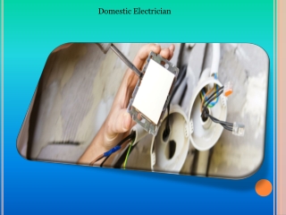 Domestic Electrician