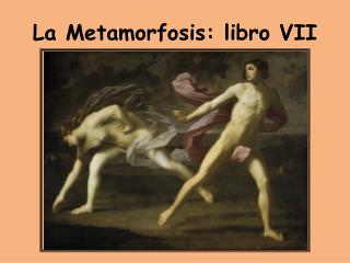 La Metamorfosis: libro VII