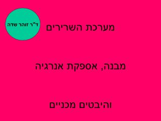 מערכת השרירים מבנה, אספקת אנרגיה והיבטים מכניים