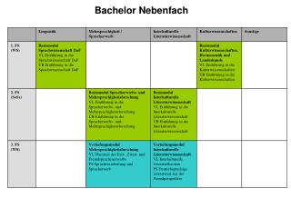 Bachelor Nebenfach