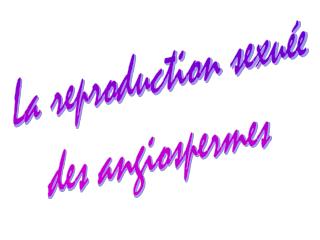 La reproduction sexuée des angiospermes