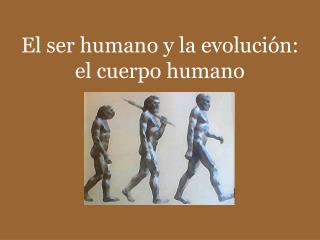 El ser humano y la evolución: el cuerpo humano