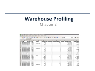 Warehouse Profiling