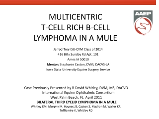 MULTICENTRIC T-CELL RICH B-CELL LYMPHOMA IN A MULE