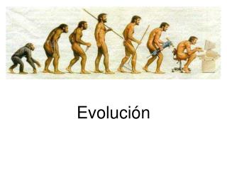 Evolución