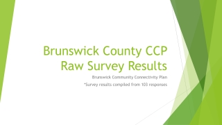 Brunswick County CCP Raw Survey Results