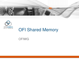 OFI Shared Memory