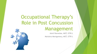 Occupational Therapy’s Role in Post Concussion Management