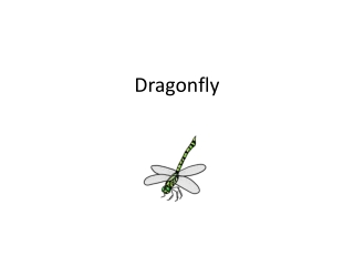 Dragonfly