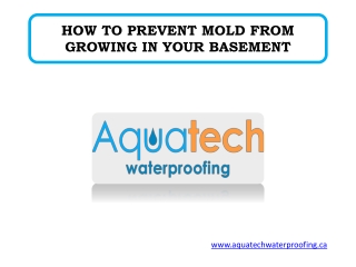 HOW TO PREVENT MOLD FROM GROWING IN YOUR BASEMENT