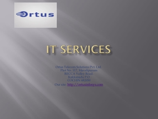 Ortus -IT services