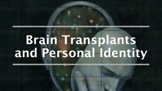 Brain Transplants and Personal Identity