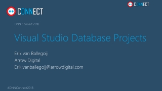 Visual Studio Database Projects